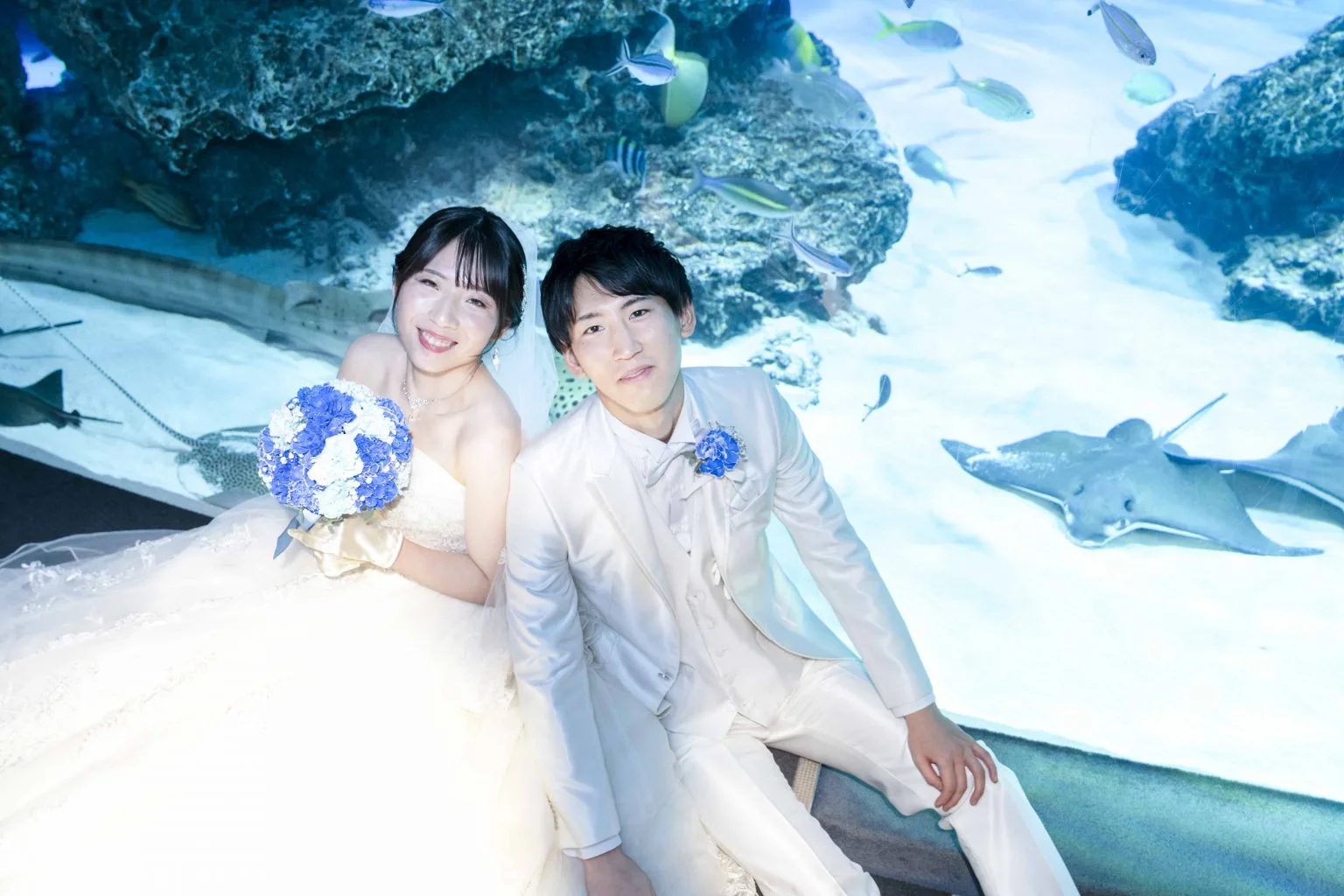 604y22☆掛下帯 ラメ糸 蝶々 水色 丸帯 結婚式 花嫁 ブライダル☆美品 新郎の夢だった 水族館挙式を叶えたおふたり！ こだわりのドレスや